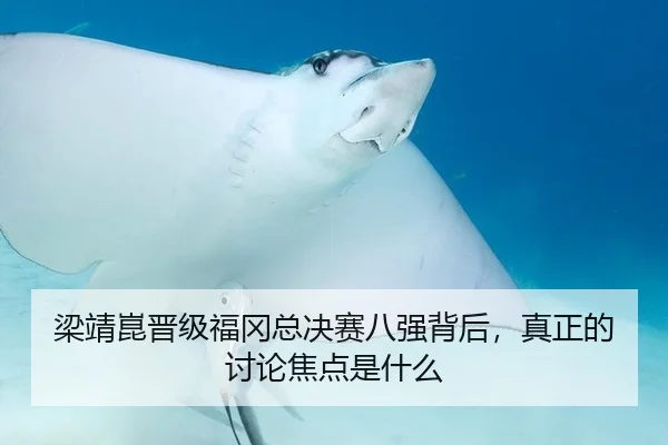 梁靖崑晋级福冈总决赛八强背后，真正的讨论焦点是什么